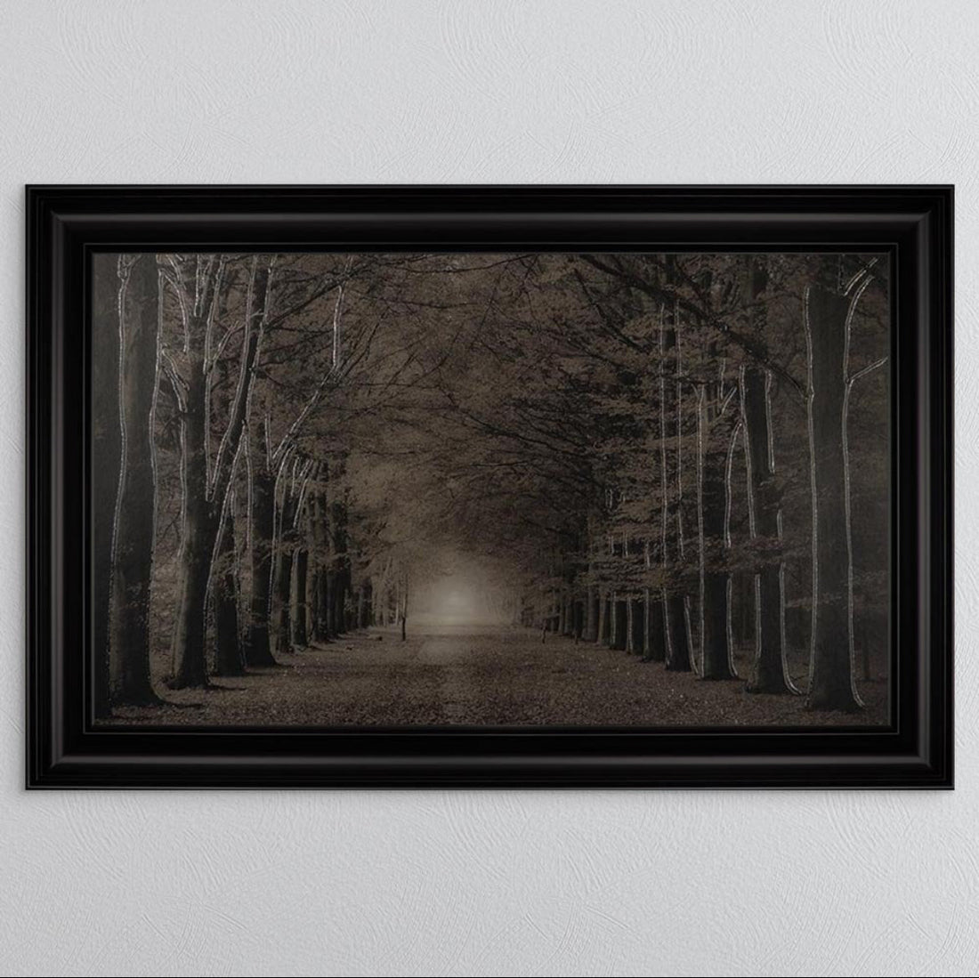 Landscapes 