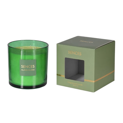 Sences Citrus Verdant Large 3 Wick Candle 2